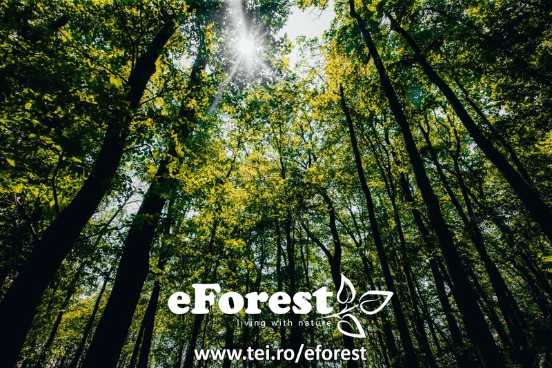 eForest 2, la Drumul National DN1A,