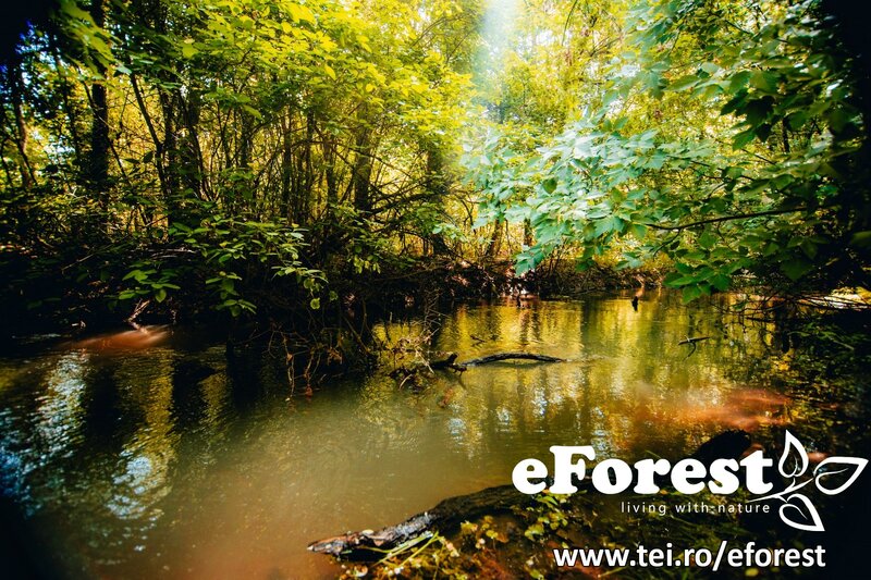 eForest 2, la Drumul National DN1A,