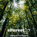 Crevedia eForest 2, la Drumul National DN1A,