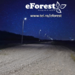 Crevedia eForest 2, la Drumul National DN1A,